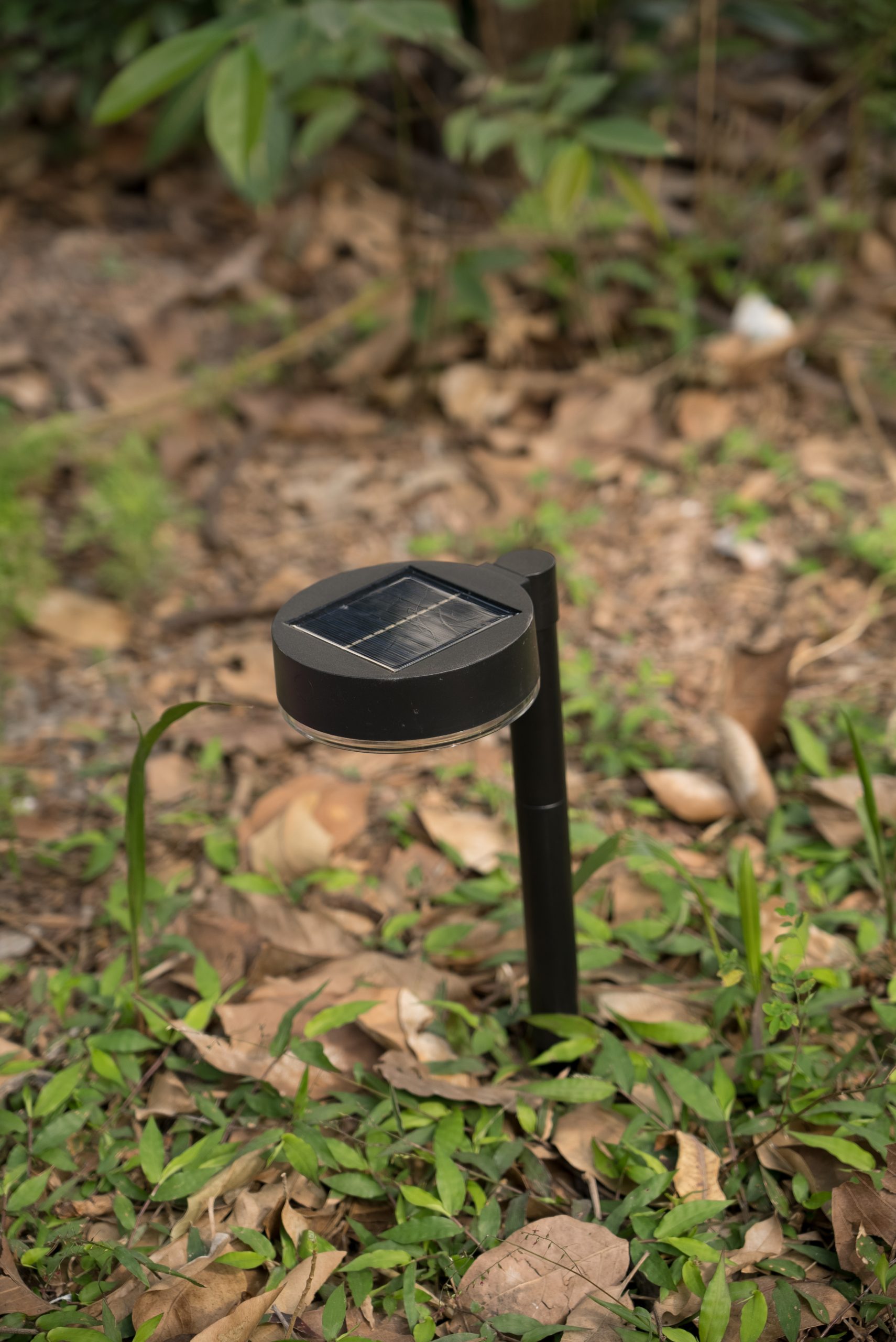 Lampara solar LED con sensor de luz-TYJL002 - Imagen 4